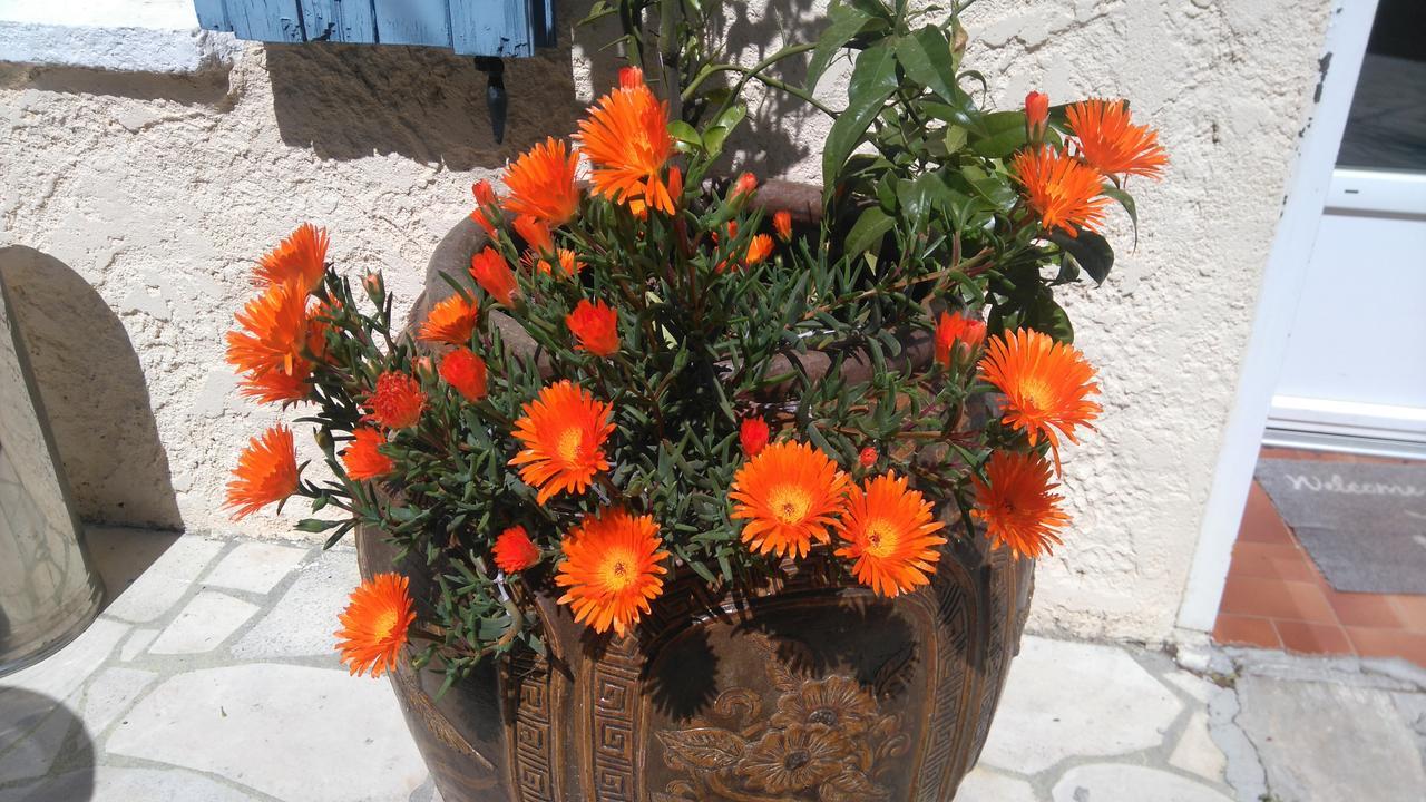 La Folie Sausset-les-Pins